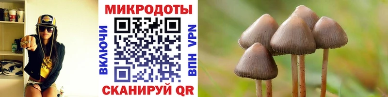 Галлюциногенные грибы Psilocybe  Старая Купавна 